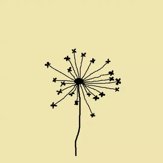 Physis